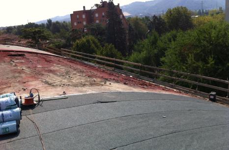 Rifacimento tetto capannone guaina rimozione eternit bologna