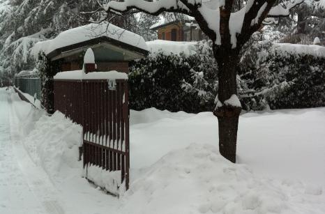 Sgombero neve Bologna
