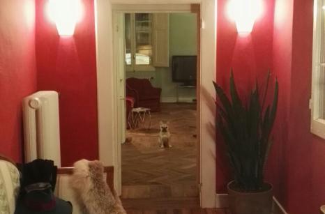 Ristrutturazione conservativa appartamento centro Bologna