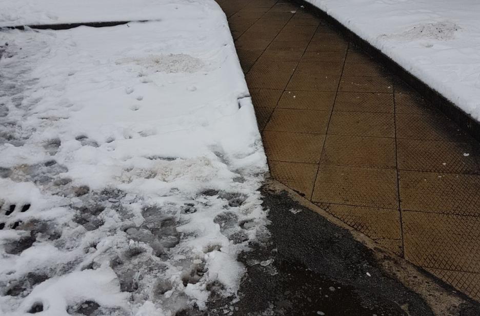 Sgombero neve Bologna